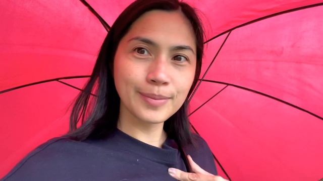 Not how we wanted the day to end (Surprising Andy at Work) | Diana Zubiri смотреть онлайн