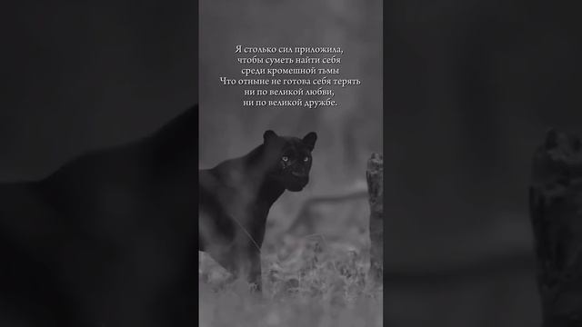 Ins_1969582790.mp4 смотреть онлайн