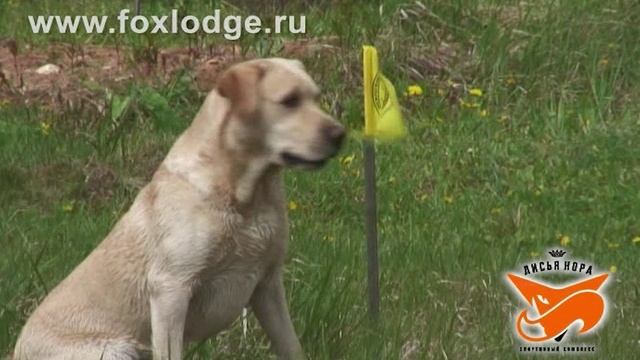 Промо-ролик «Стрелковый комплекс «Лисья Нора». 2008 г. смотреть онлайн