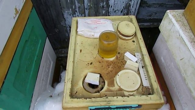 пчеловодство на ячейке 4,9 мм - часть 49, подкормка пчел в марте 8.03.2024 смотреть онлайн