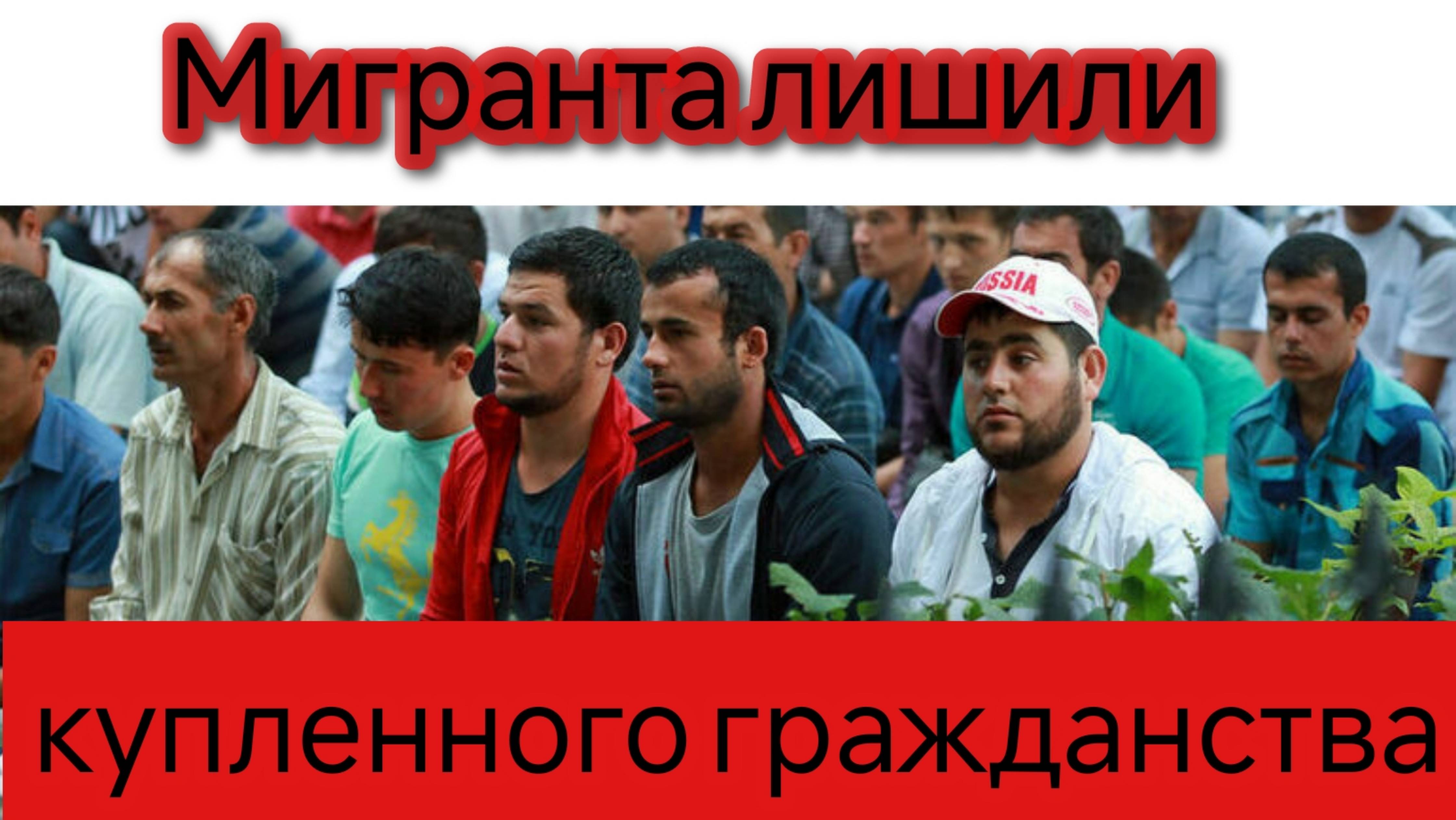 Мигранта лишили купленного гражданства смотреть онлайн