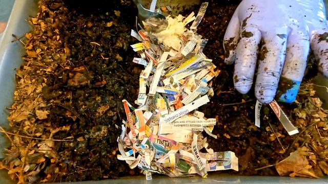 109-day 'mixed' worm bin fed after 10 days since last check-in - vermicompost смотреть онлайн