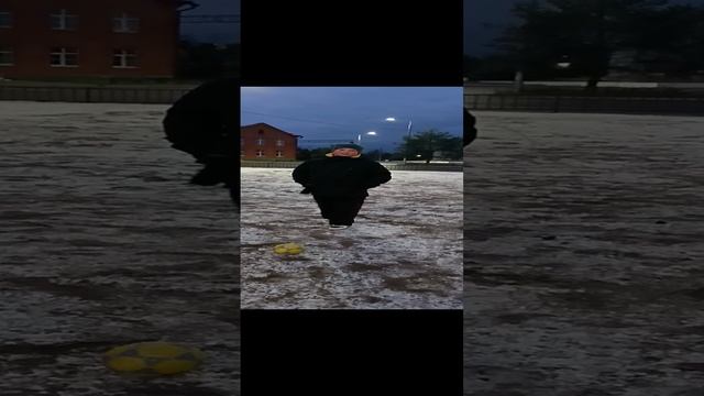ТОП 3 ФИНТА В ФУТБОЛЕ🫡🫡🫡 смотреть онлайн