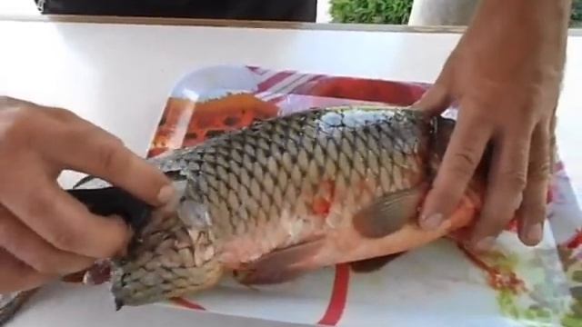 Как почистить рыбу в квартире и не испачкать кухню чешуей. How To Clean Fish.