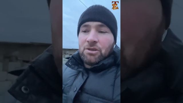 Драконы растут #белуга #осетр смотреть онлайн