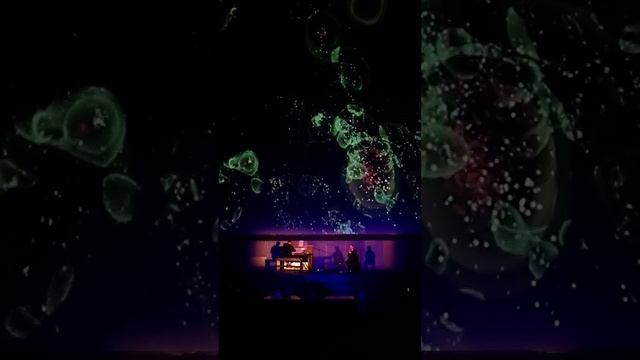 Аве Мария Шуберт Дудук Орган Планетарий Москва Виталий Погосян Илья Щеклеин смотреть онлайн