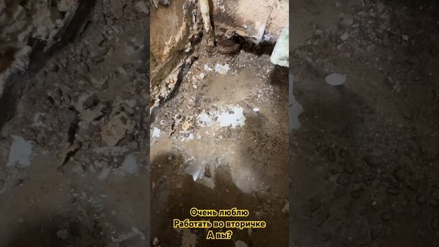 Работа в старом фонде не без сюрпризов смотреть онлайн