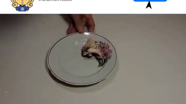 Human Sperm + Chicken Egg = Homunculus. смотреть онлайн