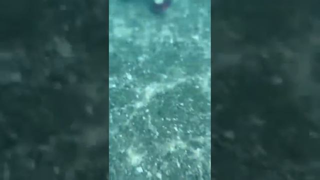 Обзор моря на пляже Кестель#Отель Sunshine Hotel 4****#Турция#Аланья#Махмутлар