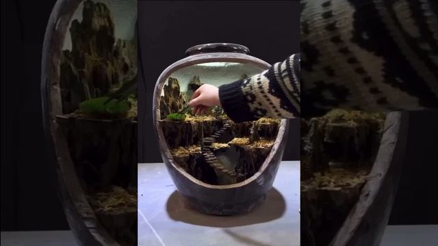 красота смотреть онлайн