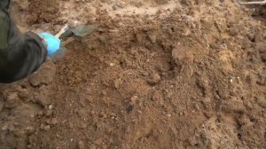 Отправились на раскопки и нашли останки древних динозавров!