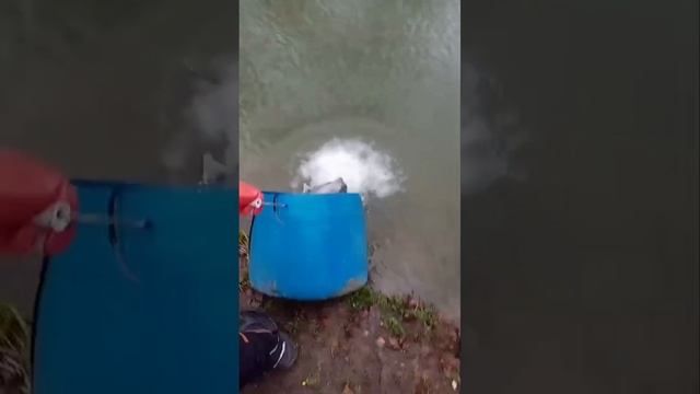 запуск смотреть онлайн