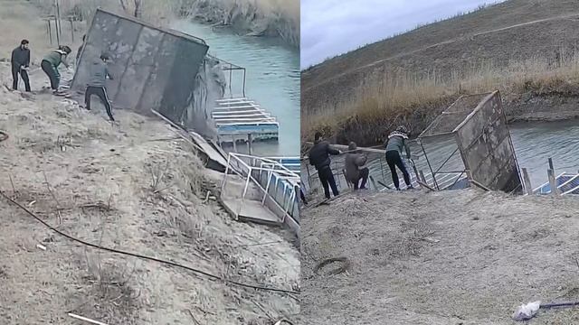 Братская сила спасает осетров смотреть онлайн