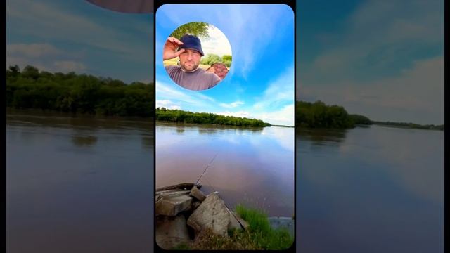 Родина осетров Терек смотреть онлайн