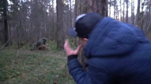 Мы свели болотного монстра и жабапса и произошла битва монстров