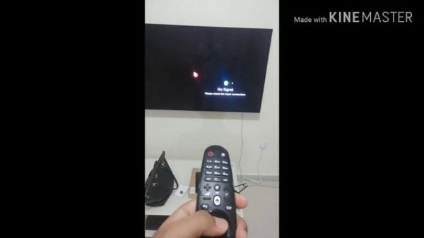 How to Reset Lg Magic remote