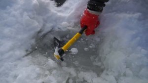 Эти опасные и жуткие находки мы нашли во льдах, где затонул гигантский монстр!