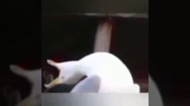 Эти видео могут вам понравится смотреть онлайн