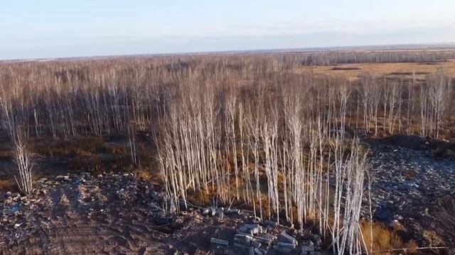 video_2024-11-02_16-04-52 смотреть онлайн
