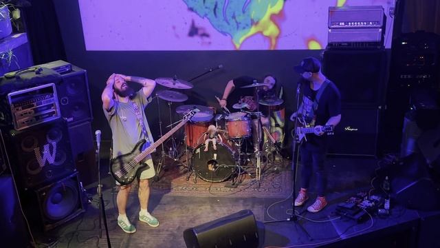 Conifer Beard тур 