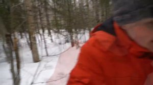 Мы пришли на болото гейгера, но на нас напали монстры!