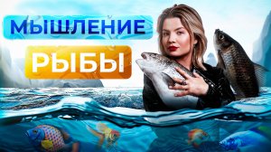 Мышление рыбы.