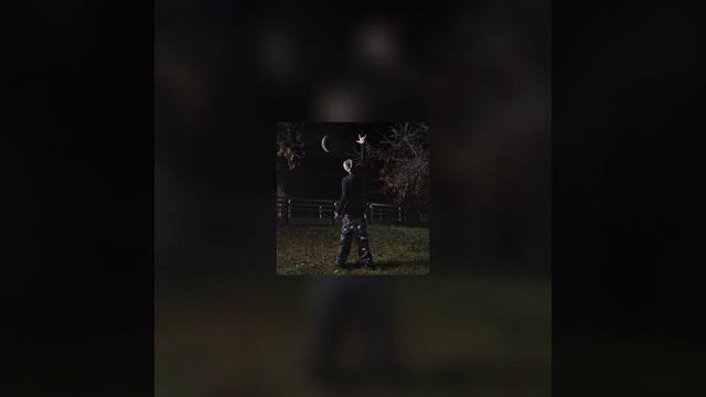 ГЕШТАЛЬТ - NEWLIGHTCHILD