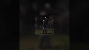 ГЕШТАЛЬТ - NEWLIGHTCHILD