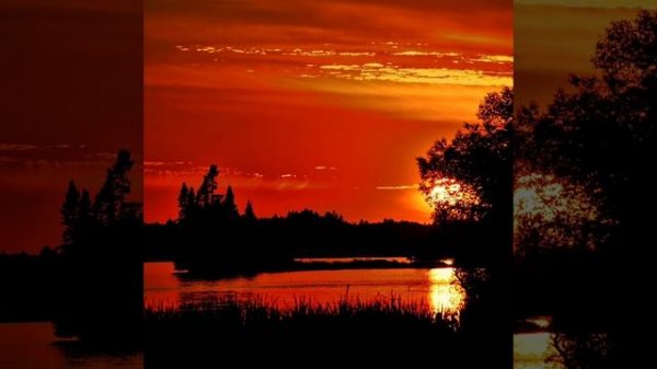 Сильнейший нашид Махум Би Уммати 😍