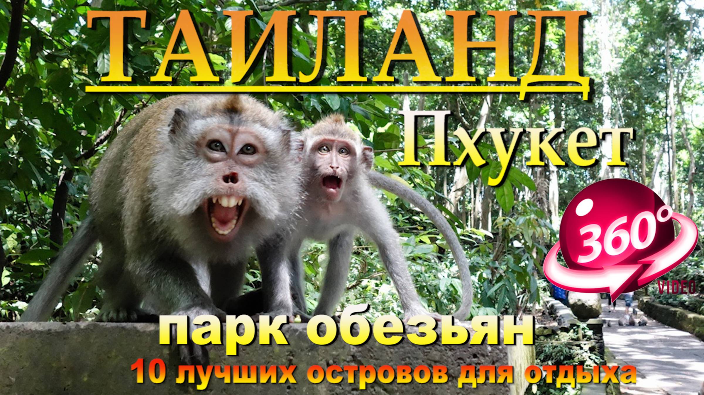 Парк обезьян Пхукет. Monkey Park Phuket. 10 лучших островов для отдыха. #сезонконтентаRUTUBE смотреть онлайн