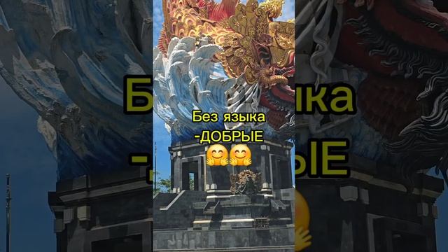 длиннющий язык ‐зло #путешествиебали #всембобра