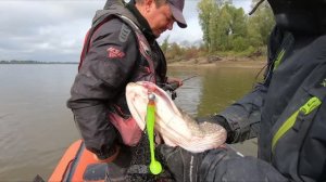 Рыбалка на севере Сибири, тут трофеев как грязи