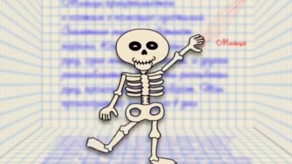 Анатомия человека для детей