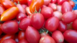 Обзор томатов Джек Пот и Лапочка. 3 ноября заканчиваю томатный сезон. Уборка урожая в теплице