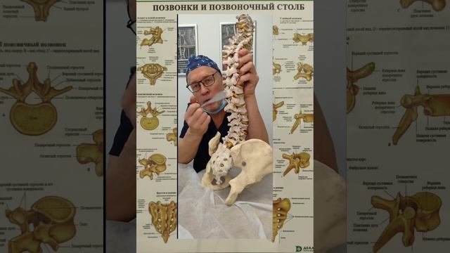 нехочугрыжу.mp4