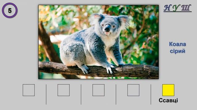 Вікторина: «Рослинний та тваринний світ Австралії» №2 (ЯДС 4 клас) смотреть онлайн