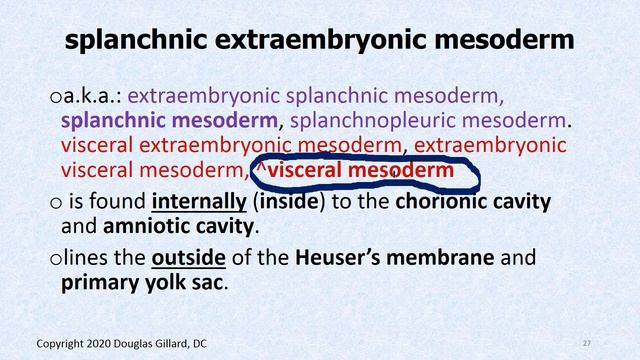 Embryology: (Wk5)(Win21): Layering Up the Blastocyst & Vasculogenesis смотреть онлайн