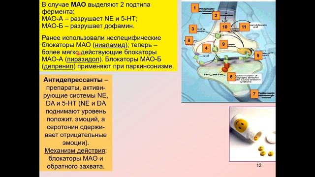 Дубынин В. А. - Химия мозга - 8. Серотонин смотреть онлайн