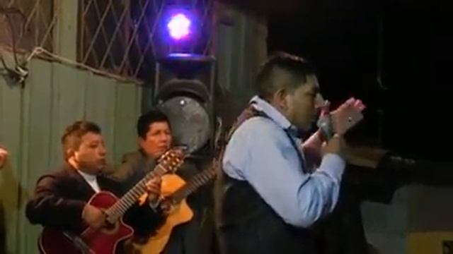 Villa Flora en sus fiestas смотреть онлайн