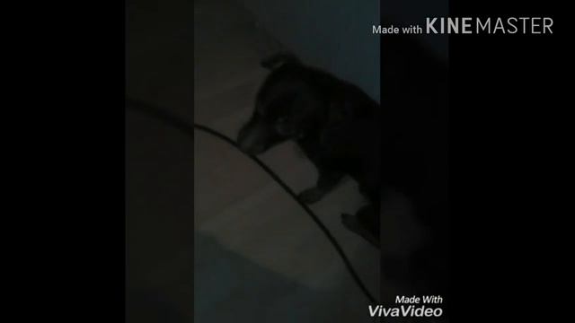 Привет Тася смотреть онлайн