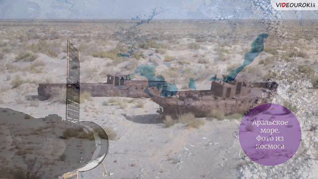 Для чего нужна экология