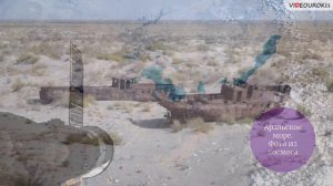 Для чего нужна экология