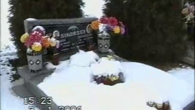 МАМА и Я 2004 год