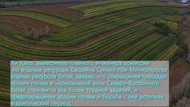 Черная земля смотреть онлайн