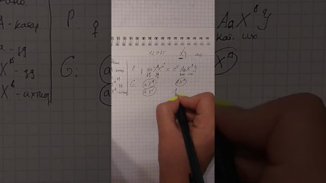 Сцепление.1. часть смотреть онлайн