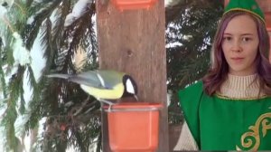 Я  - экоблогер