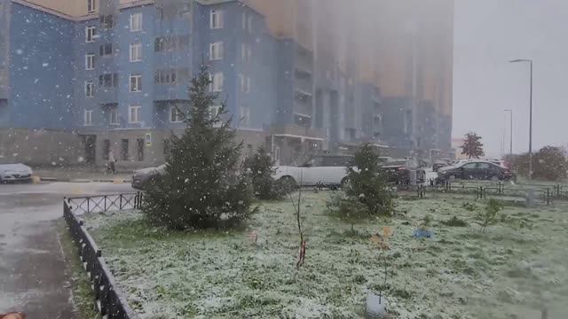 С приходом ноября в Питере выпал первый снег 2024! смотреть онлайн