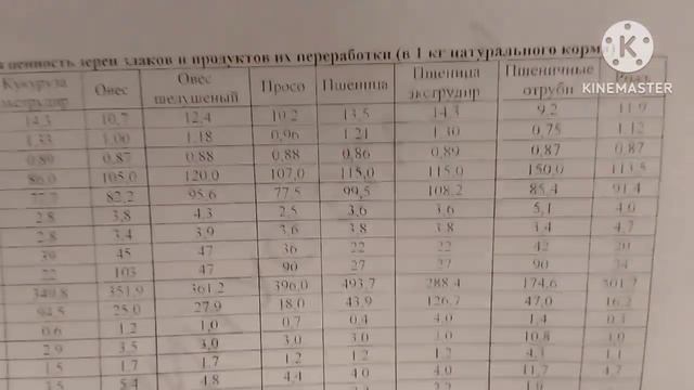 Идеальный протеин.Кормление, считаем по протеину или аминокислотам? смотреть онлайн