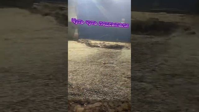 Заливка площадки около гаража