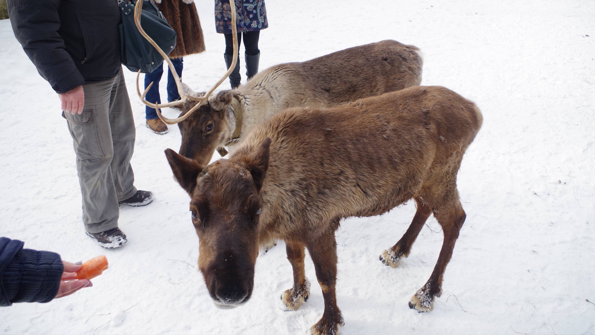 2018 Москва и экскурсии по Области (сборник)
